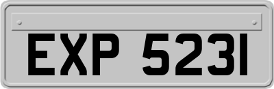 EXP5231
