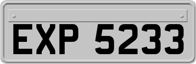 EXP5233