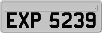 EXP5239