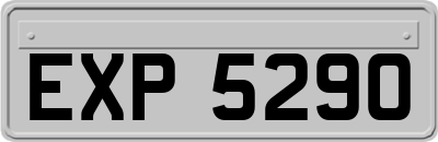 EXP5290
