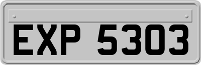 EXP5303