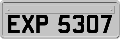 EXP5307