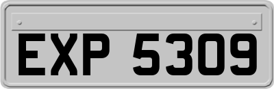 EXP5309