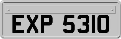 EXP5310