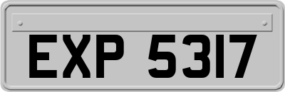 EXP5317