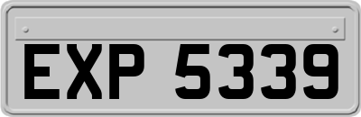 EXP5339