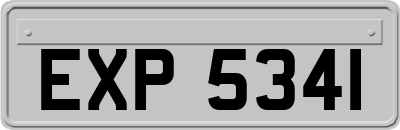 EXP5341