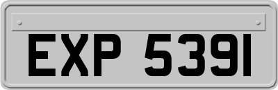 EXP5391