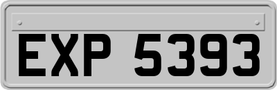 EXP5393