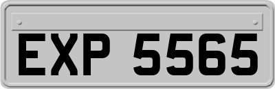 EXP5565