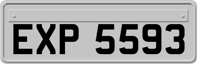 EXP5593