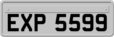 EXP5599