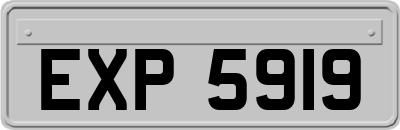 EXP5919