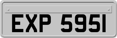 EXP5951