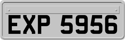 EXP5956