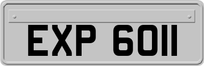EXP6011