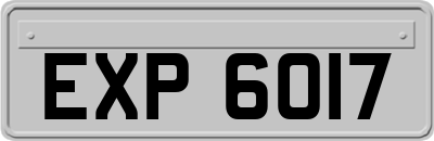EXP6017