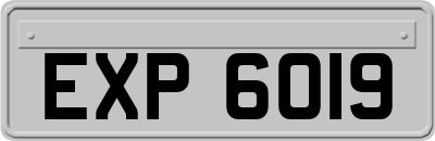 EXP6019