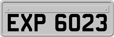 EXP6023