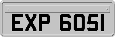 EXP6051