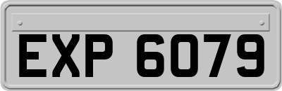 EXP6079