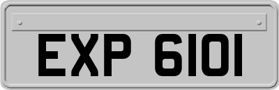 EXP6101