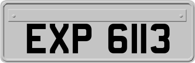 EXP6113