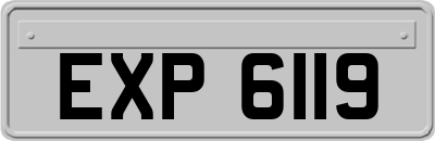EXP6119