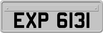 EXP6131