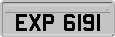 EXP6191