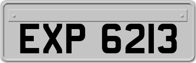 EXP6213