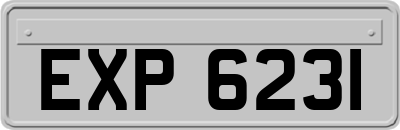 EXP6231
