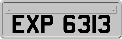 EXP6313