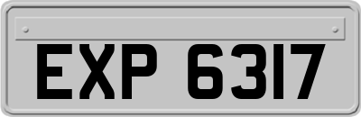 EXP6317