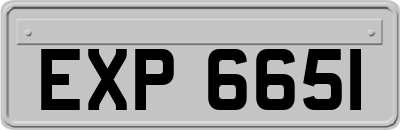EXP6651