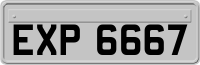EXP6667