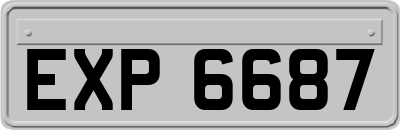 EXP6687