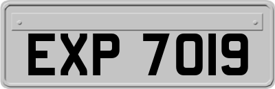 EXP7019