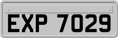 EXP7029