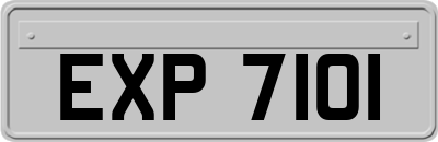 EXP7101