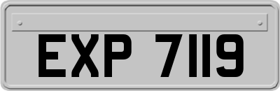 EXP7119