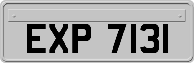 EXP7131