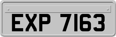EXP7163
