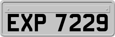 EXP7229
