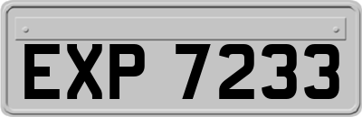 EXP7233