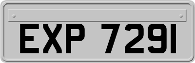 EXP7291
