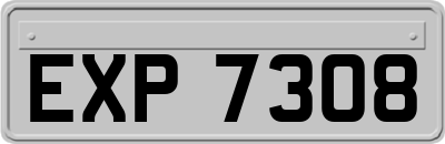 EXP7308