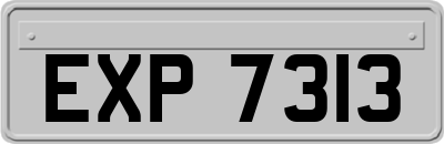 EXP7313