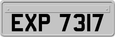 EXP7317