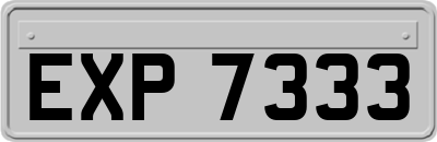 EXP7333